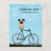 Embarquement de chiens, Marche, Assis, Formation E