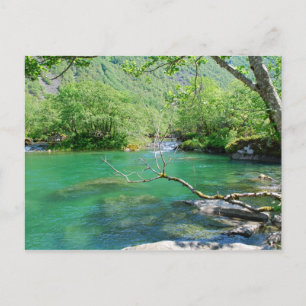 Carte postale Emerald Peace