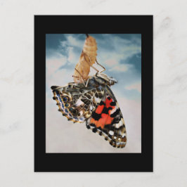 Carte Postale Émergence