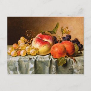 Carte Postale Emilie Preyer : Fruits à la mouche