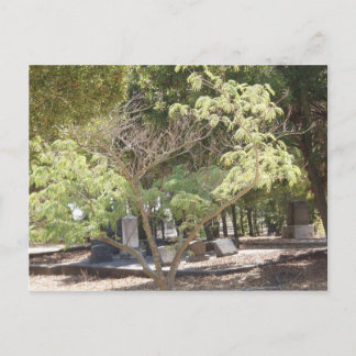 Carte Postale Emplacement de repos