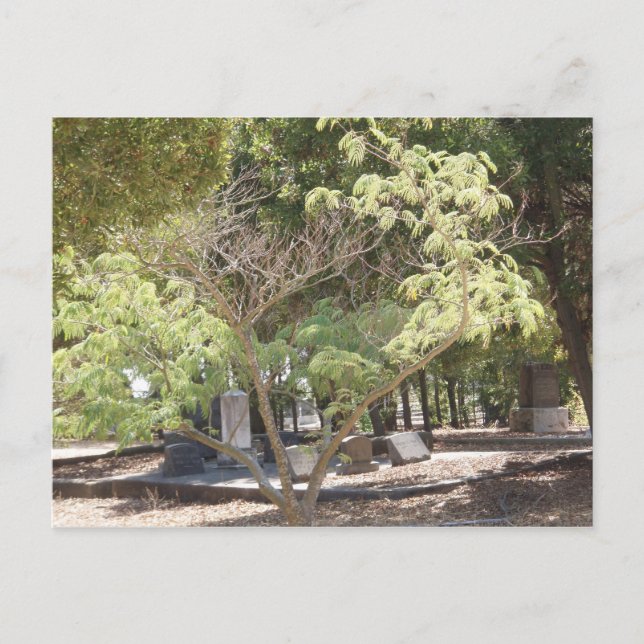 Carte Postale Emplacement de repos (Devant)