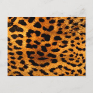 Carte Postale empreinte de léopard animal fashionista