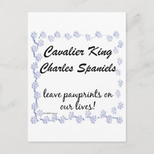 Carte Postale Empreintes Cavalier