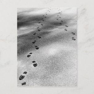 Carte Postale Empreintes de neige