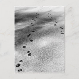 Carte Postale Empreintes de neige