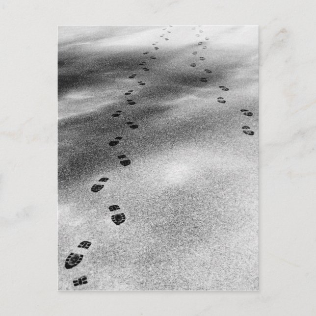 Carte Postale Empreintes de neige (Devant)