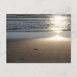 Carte Postale Empreintes de pas sur la plage de sable
