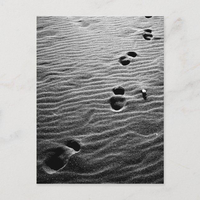 Carte Postale Empreintes sur le sable (Devant)