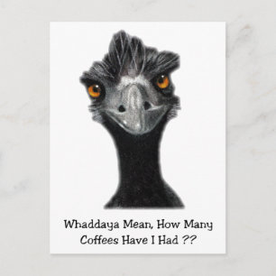Carte Postale Emu : Drôle, Humour : Trop De Cafés : Art