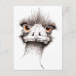 Carte Postale Emu par Inkspot