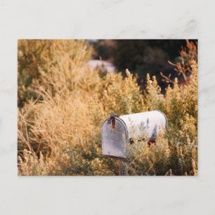 Carte Postale En attendant le courrier.