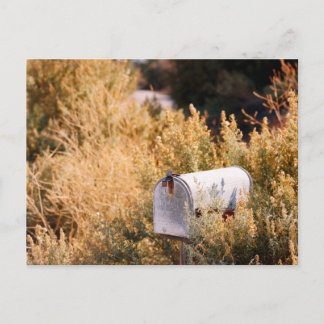 Carte Postale En attendant le courrier.