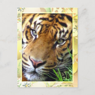 Carte Postale En attente de vous/Missing you_