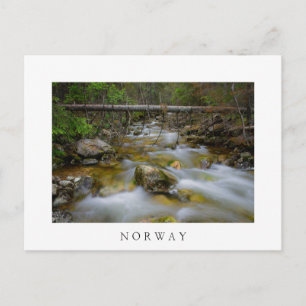 Carte postale en blanc de la crique de la forêt ro