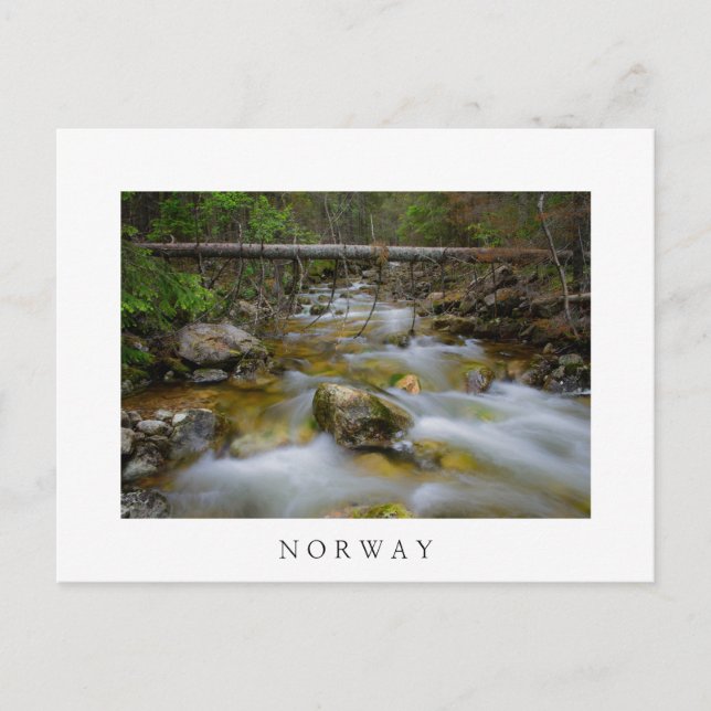 Carte postale en blanc de la crique de la forêt ro (Devant)