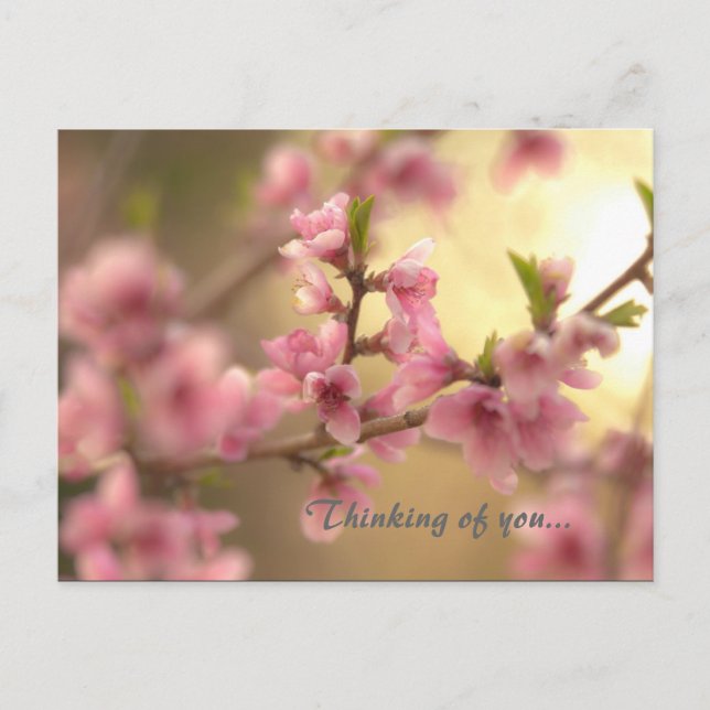 Carte Postale En pensant à toi... (Devant)