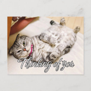 Carte Postale En pensant à vous - Mignon petit chat