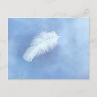 Carte postale en plumes d'ange