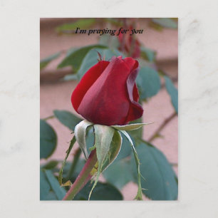 Carte Postale en priant pour vous