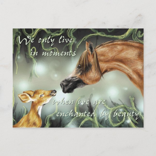 Carte Postale Enchanté par la beauté (Devant)