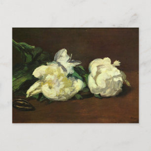 Carte Postale Encore la vie, Peine blanche par Edouard Manet