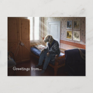 Carte Postale Encore un jour, salutations de...   Allégation