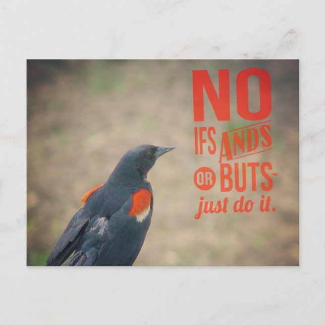 Carte Postale Encouragement au merle (Devant)