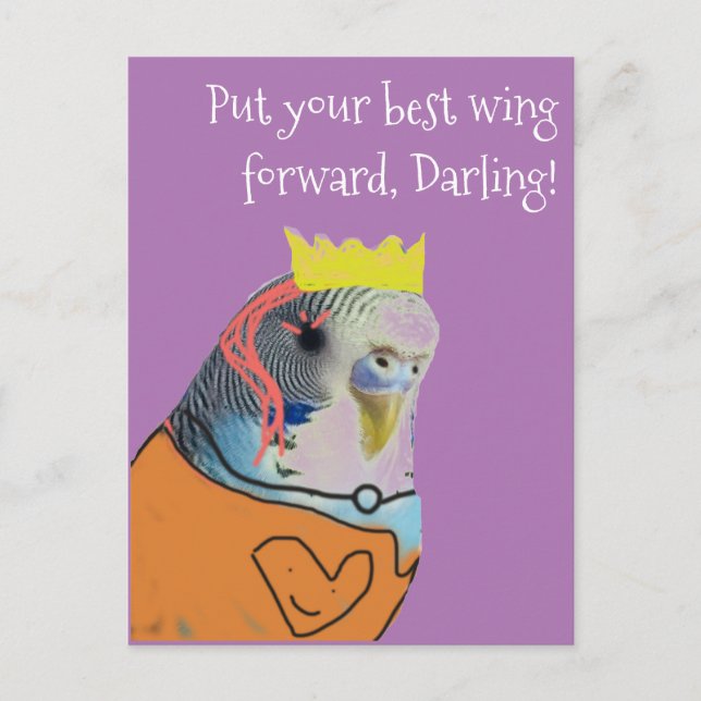 Carte Postale Encouragement de la perruche fantaisie (Devant)