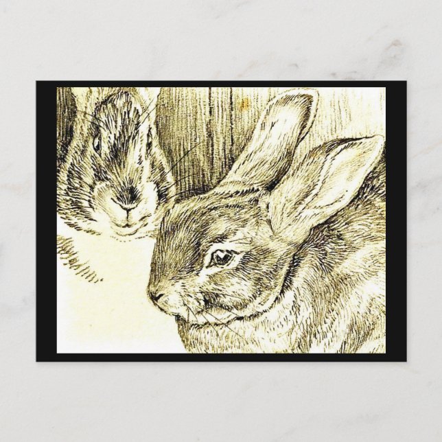 Carte postale-Enfants Art-Beatrix Potter 25 (Devant)