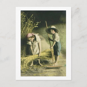 Carte Postale Enfants râtissant du foin 1903 Vintage couleur mai