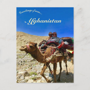 Carte Postale Enfants sur un chameau à Hérat en Afghanistan