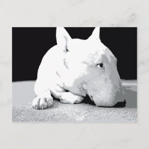 Carte Postale English Bull Terrier, Pop Art Print