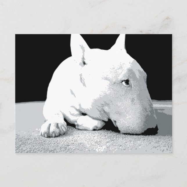 Carte Postale English Bull Terrier, Pop Art Print (Devant)