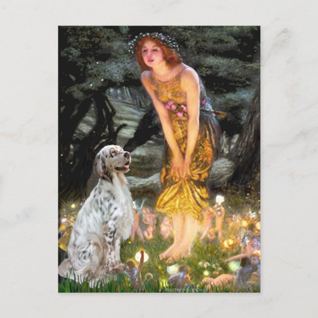 Carte Postale English Setter 1 - Veille de la Saint-Jean (Devant)