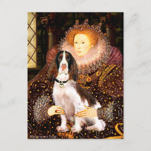 Carte Postale English Springer (Liv) - Reine