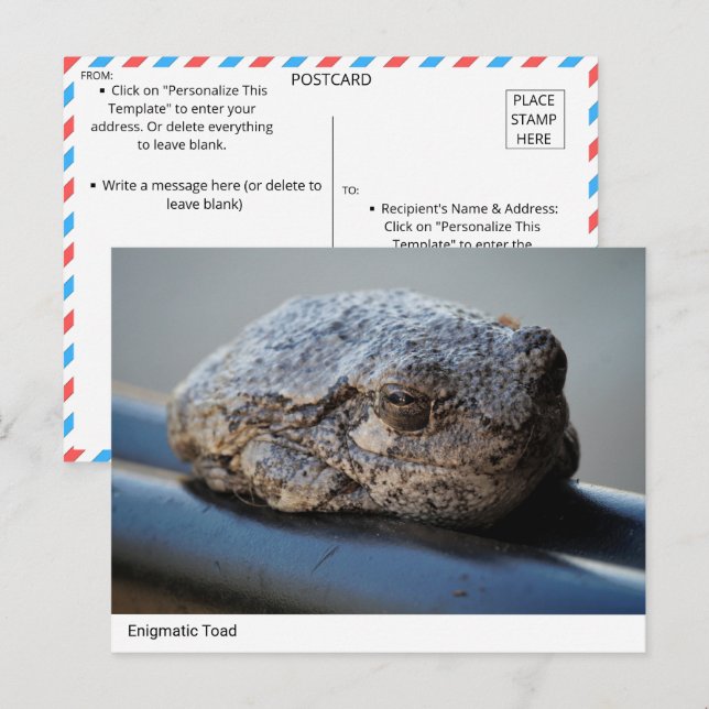 Carte postale Enigmatic Toad (Devant / Derrière)