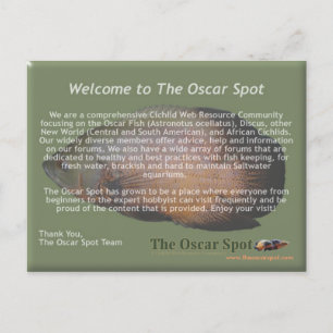 Carte Postale Énoncé de mission