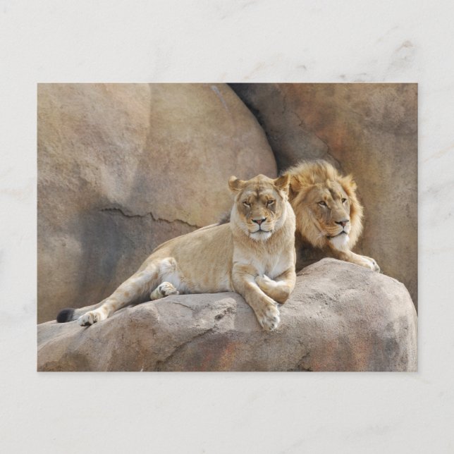 Carte Postale Ensemble (Devant)