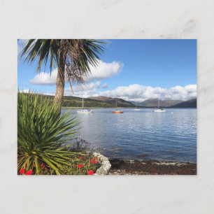 Carte Postale Ensoleillement en Écosse. Baie avec palmiers et ya