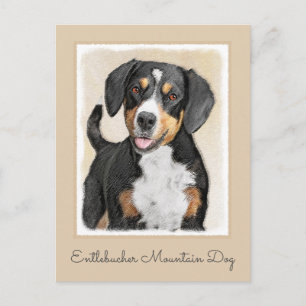 Carte Postale Entlebucher Mountain Dog Peinture - Art original