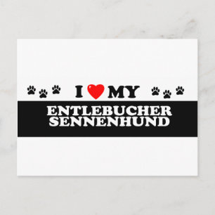 CARTE POSTALE ENTLEBUCHER SENNEHUND_