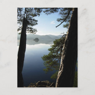 Carte Postale Entre les pins à Keswick