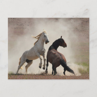 Carte Postale Entreprise sale