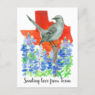 Carte Postale Envoi d'amour au Texas Mockingbird Bluebonnets