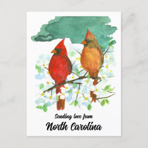 Carte Postale Envoi d'amour Caroline du Nord Cardinaux Dogwood