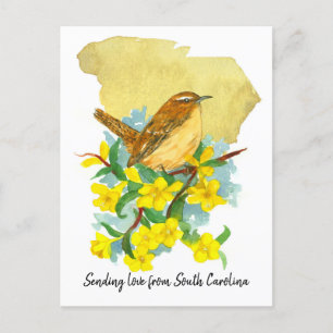 Carte Postale Envoi d'amour Caroline du Sud Wren Jessamine