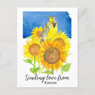Carte Postale Envoi D'Amour De Tournesols Kansas Meadowlark