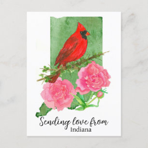 Carte Postale Envoi D'Amour Du Cardinal Peonies Rose De L'Indian