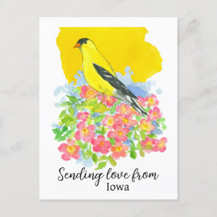 Carte Postale Envoi D'Amour Du Rose Iowa Goldfinch Prairie